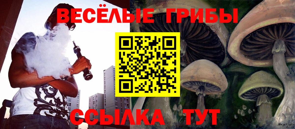 Кушва  где можно купить наркотик  Вход с VPN  Псилоцибиновые грибы мицелий 